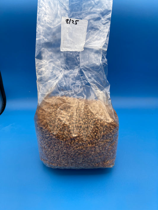 Rye - Organic Sterilized Grain Bag
